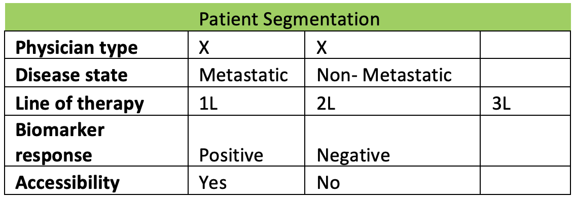 Patient Segmentation