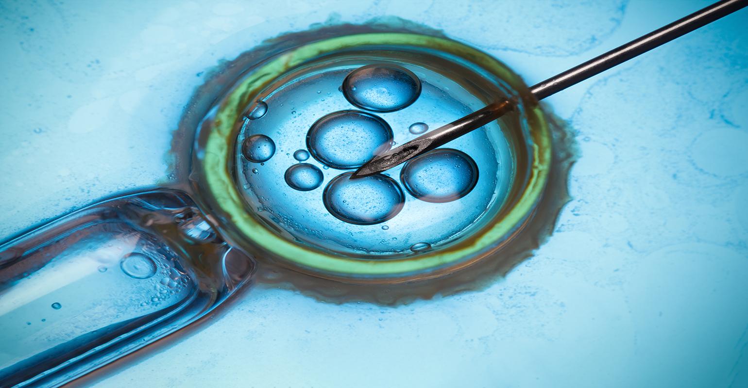 In Vitro Fertilization (IVF) & Fertility in MENA region | Omnia Health ...